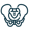 Pelvis icon