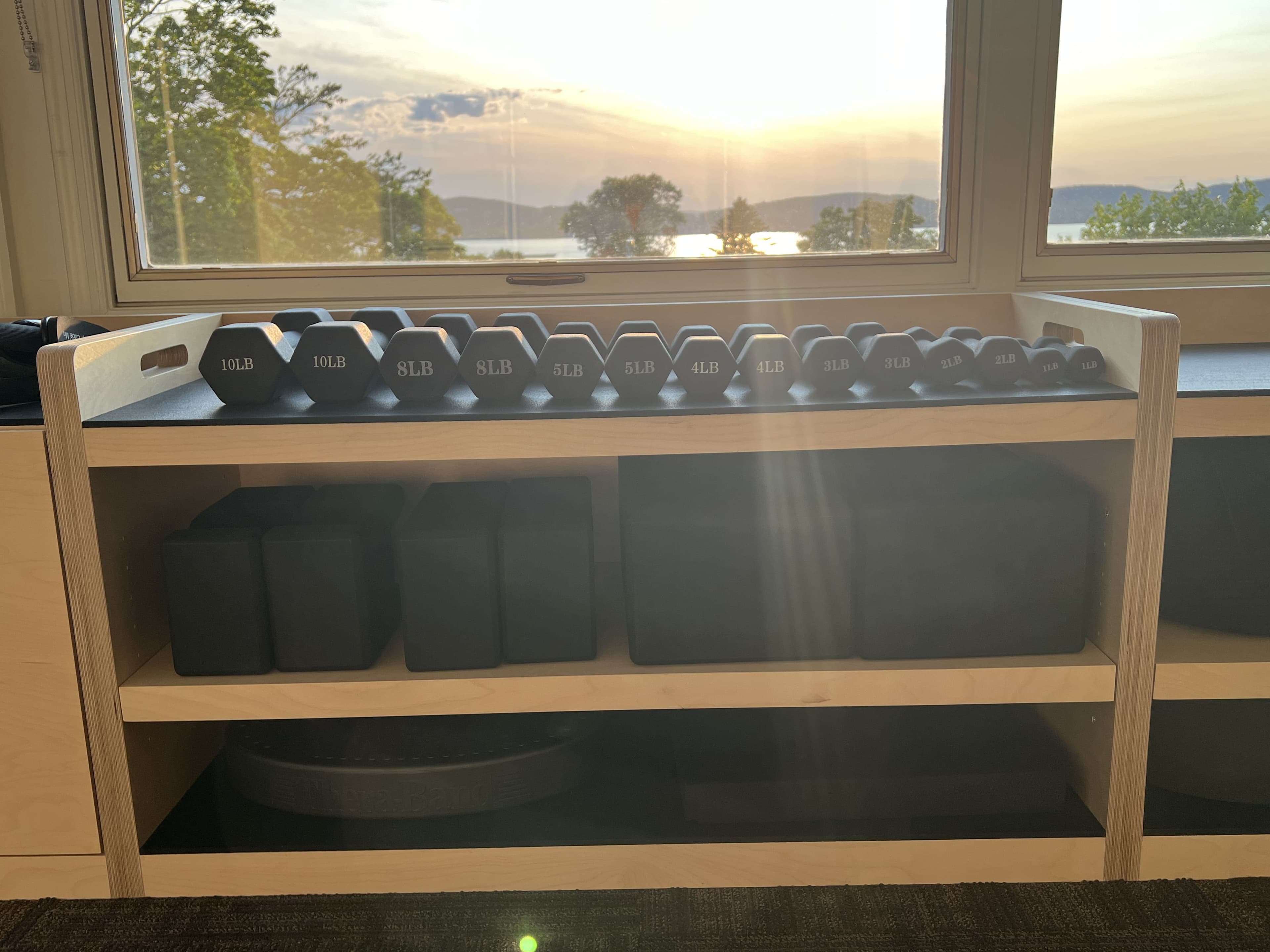 Dumbbells on wooden shelves under a sunlit window