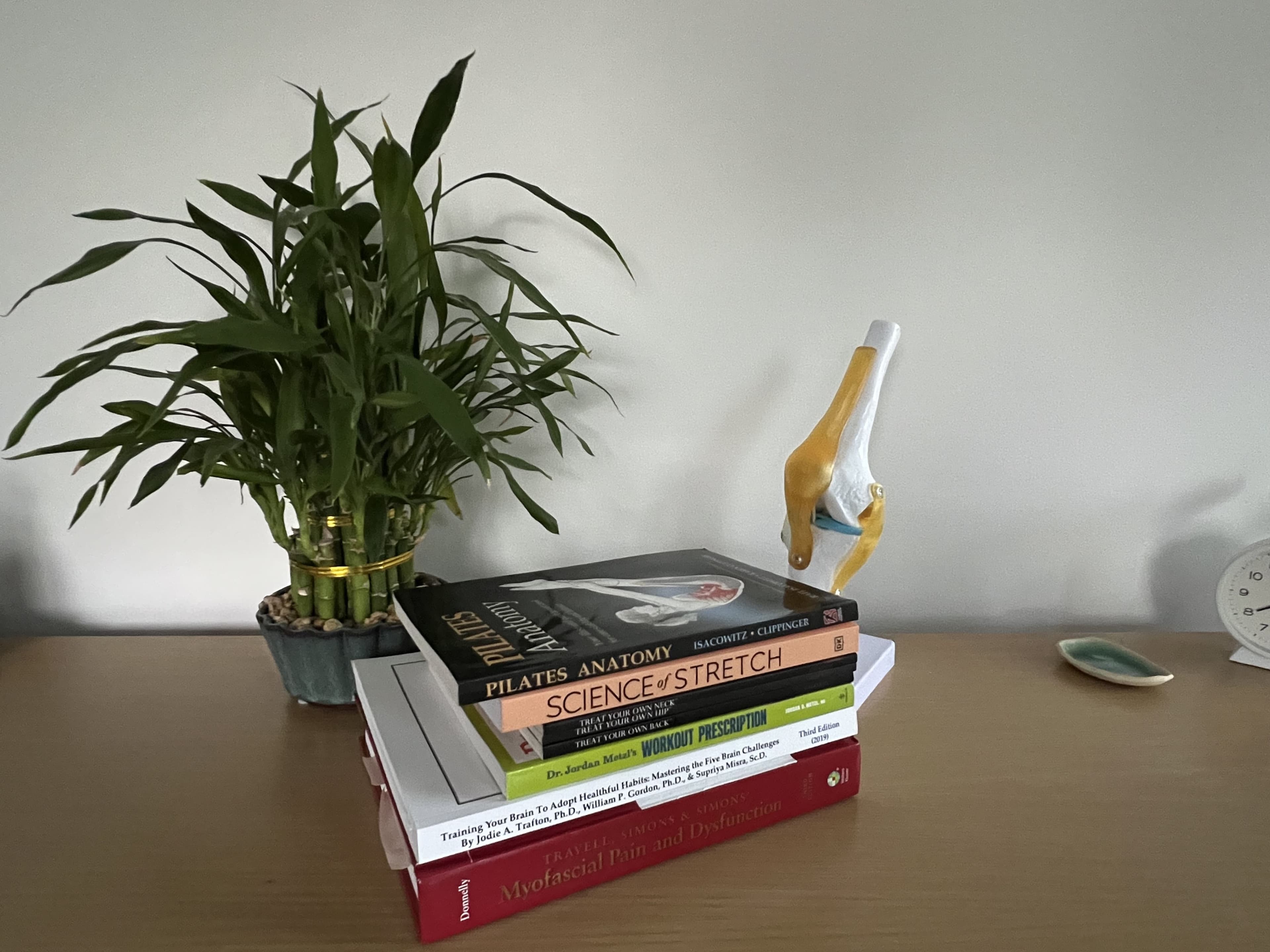 Plant, anatomy books and a knee model on a desk
