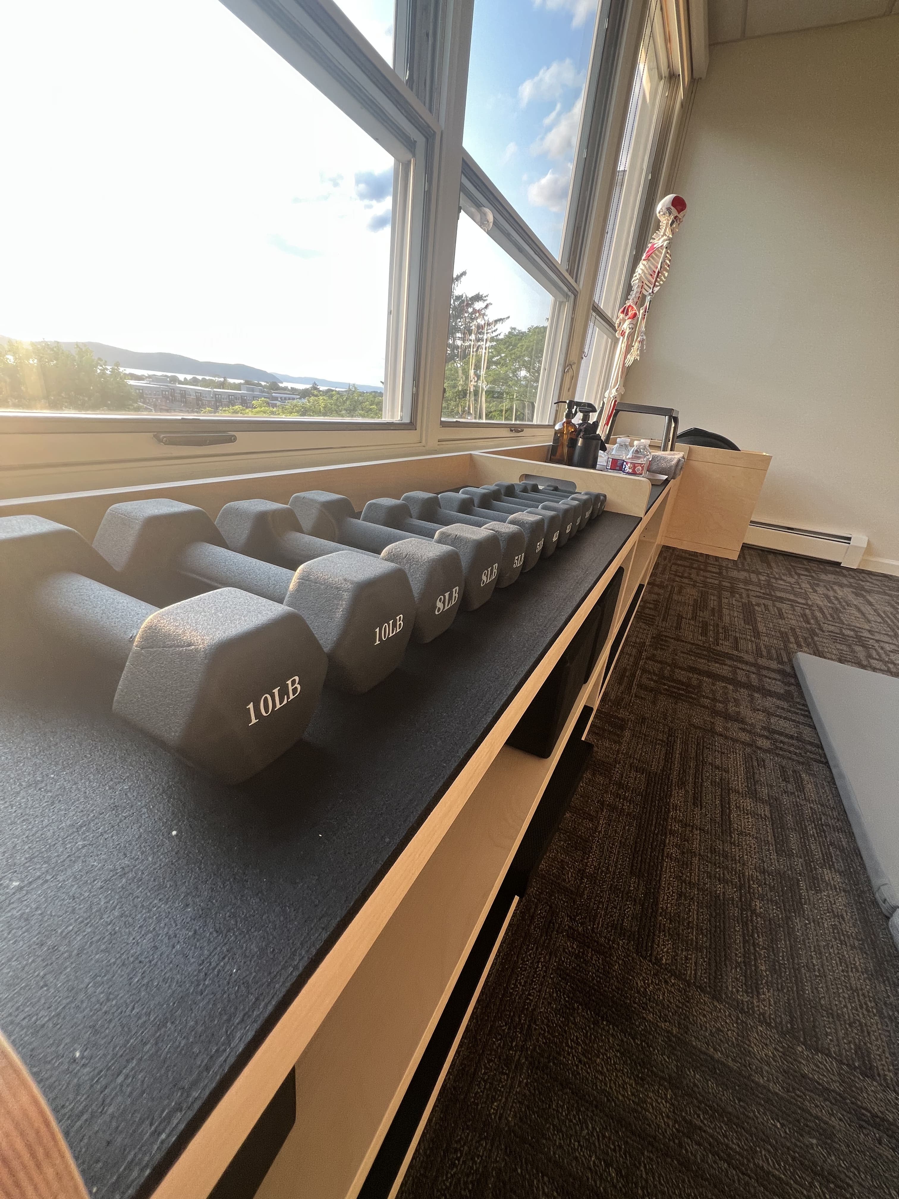 Rack of dumbbells by the windows